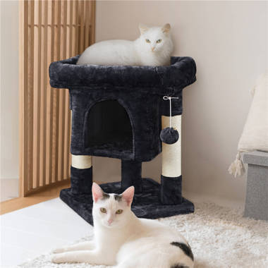 Milo and misty outlet cat tower